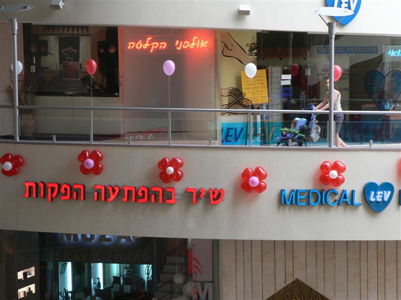 פרחים מלבבות בלונים